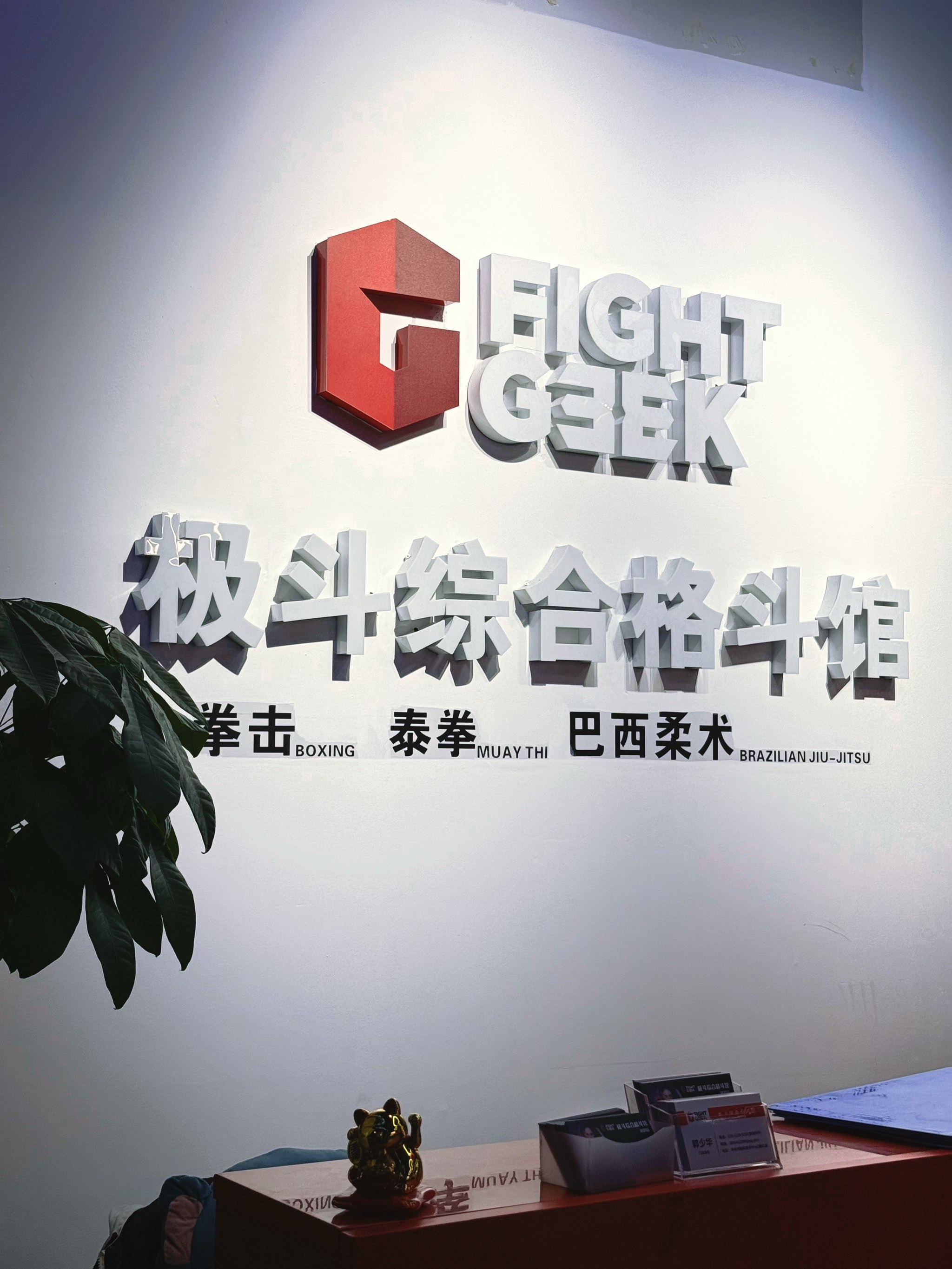 壹号- 拳击夜战：徽州飞鹰队淘汰对手雪域犀牛队，临门一脚致胜主场山呼海啸